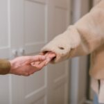 Изображение слайдера