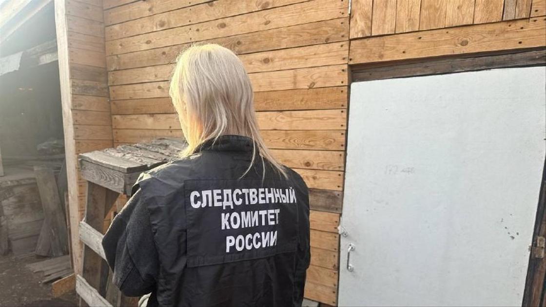 30-летнюю мать из Канска, убившую троих детей топором, не посадят в тюрьму: она признана невменяемой.