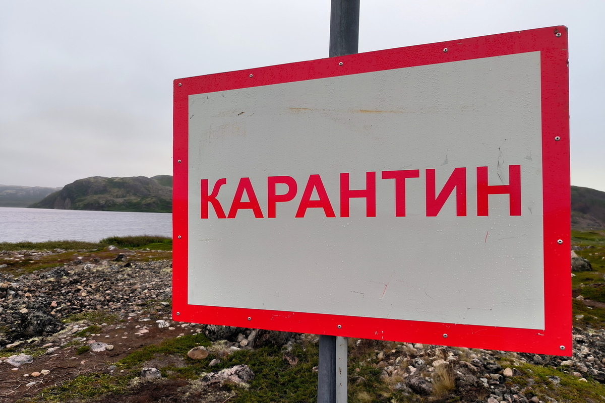 Поселение в России изолировано из-за вспышки сибирской язвы.