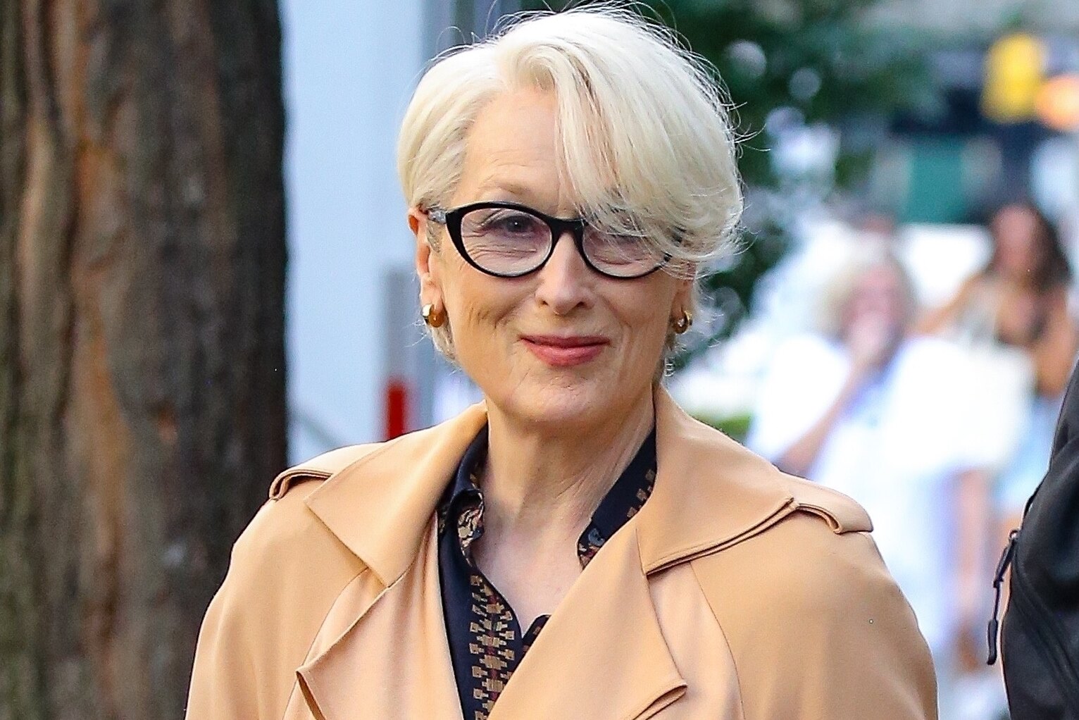 Мерил Стрип в роли Миранды Пристли стала звездой модного показа в Милане.