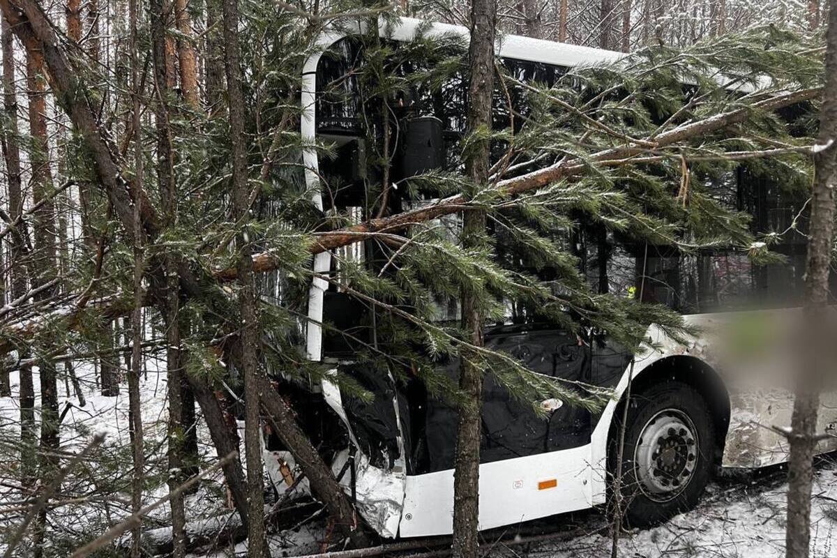 Внедорожник столкнулся с двумя автобусами в серьезной аварии