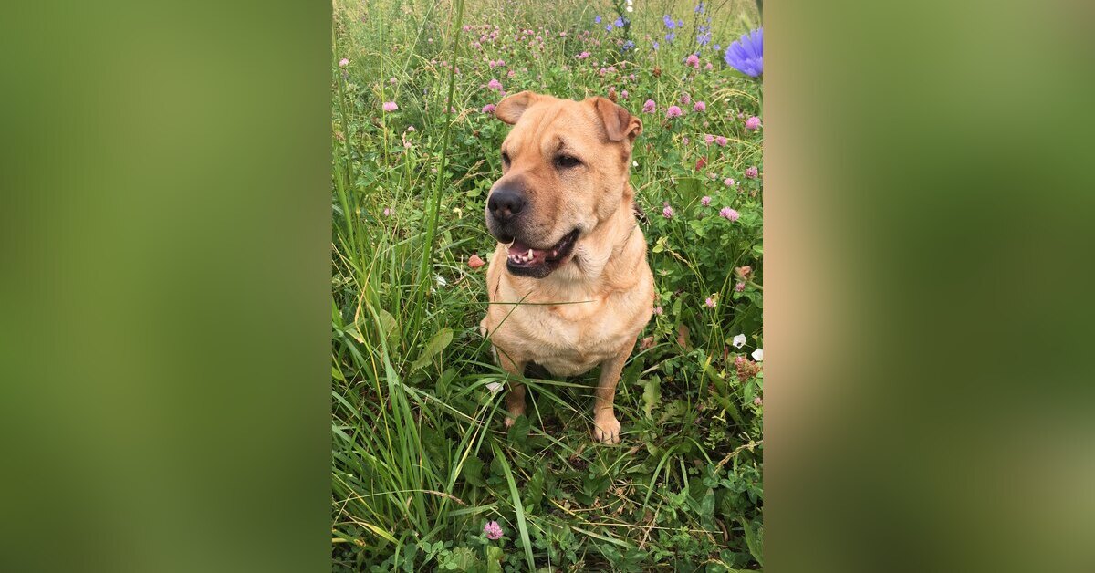 Моя защита.