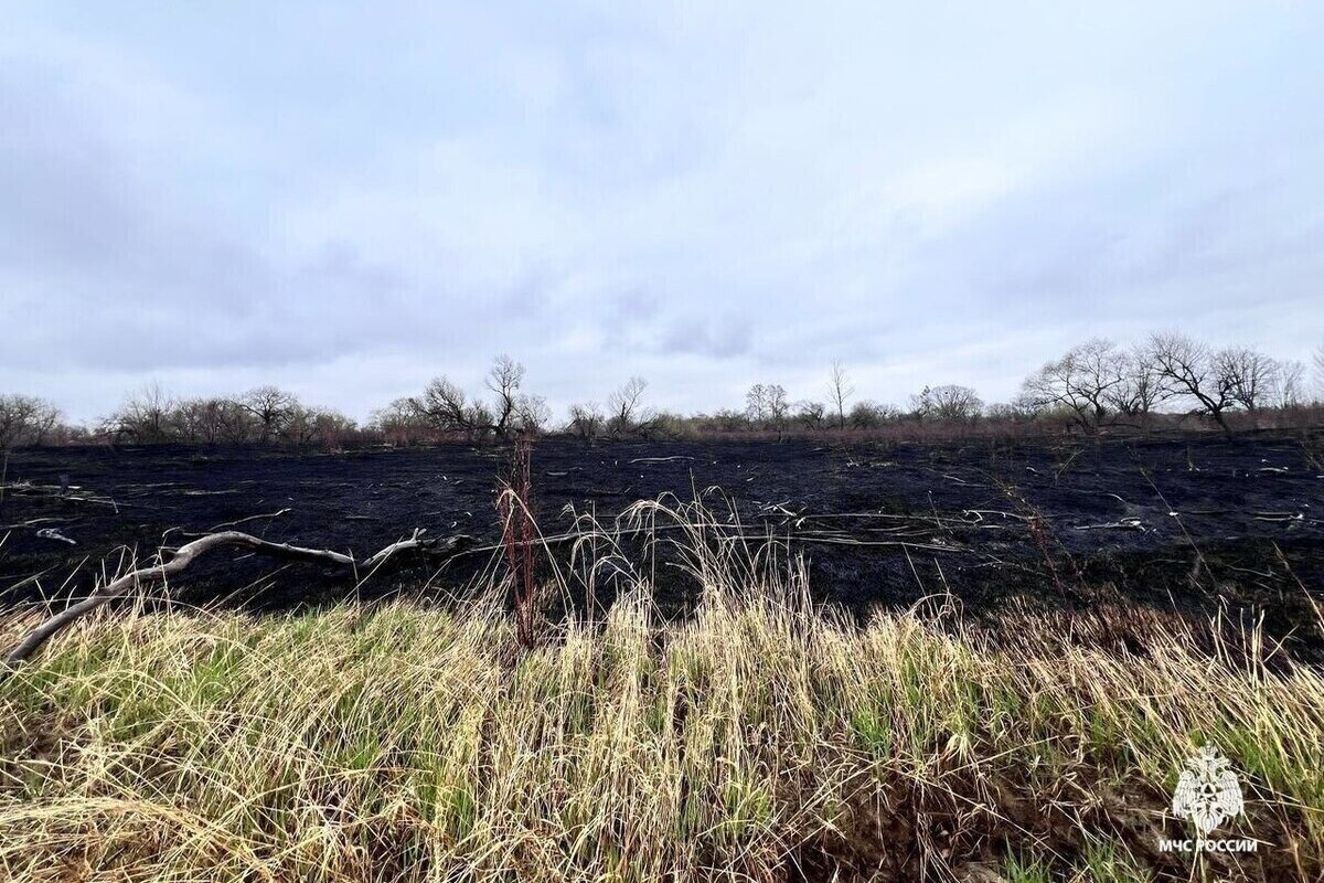 Хабаровск погружается в дым от лесных горений.
