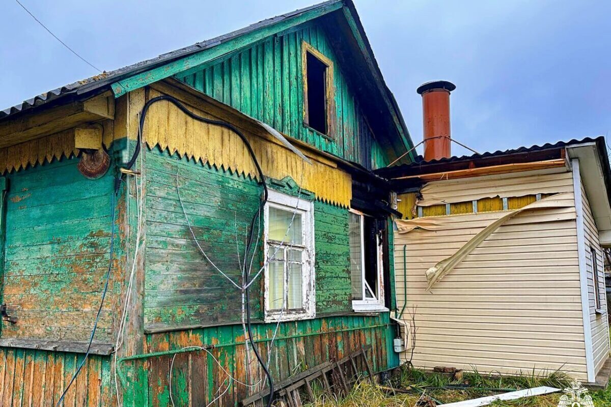 Собака чуть не погибла в пожаре в Смоленске.