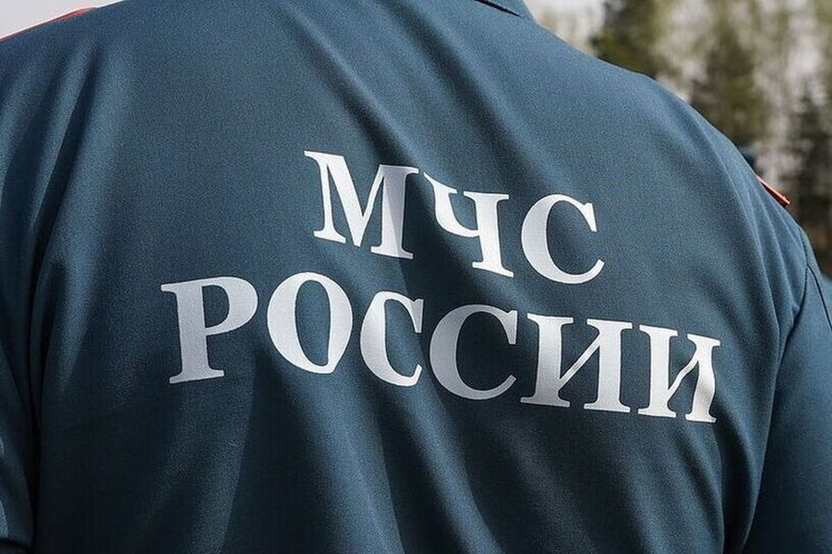 Названа основная версия исчезновения семьи в тайге Красноярского края.