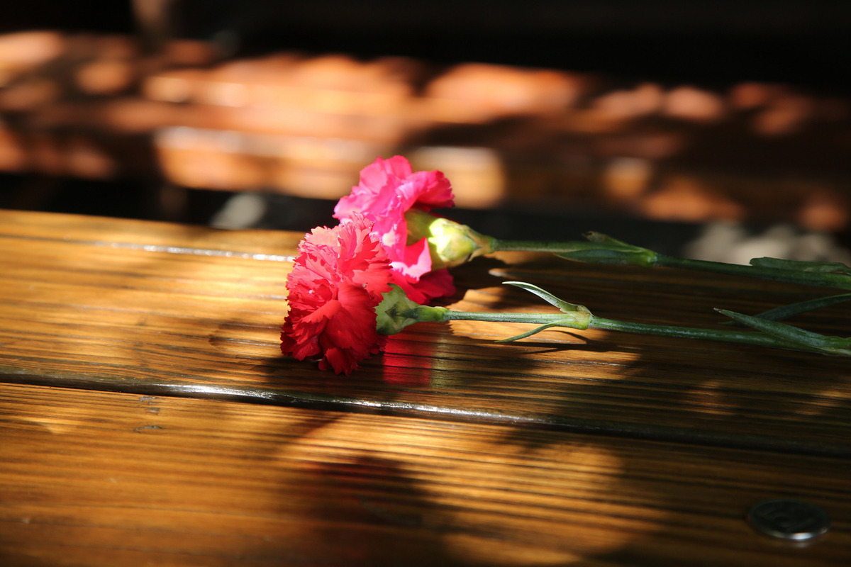 23-летняя знаменитая актриса скончалась при загадочных обстоятельствах вместе с fiancé.