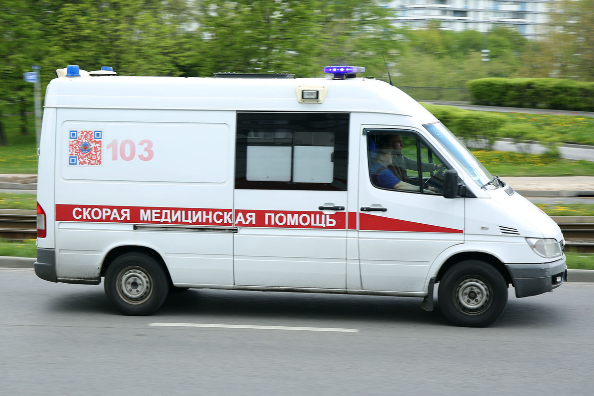 В Татарстане группа бездомных собак атаковала маленького ребенка.