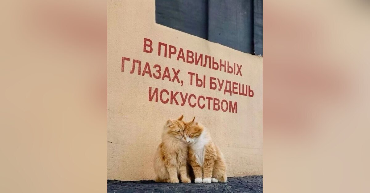 Запись с улицы (ч. 4)