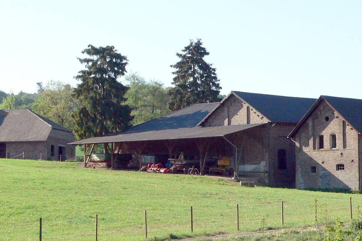 «Призрачная ферма» в Крыму обманула множество инвесторов, оставив их без средств