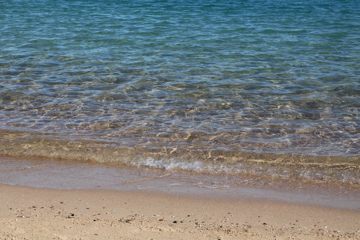 Назначена дата оглашения приговора по делу о смерти россиян в Хургаде