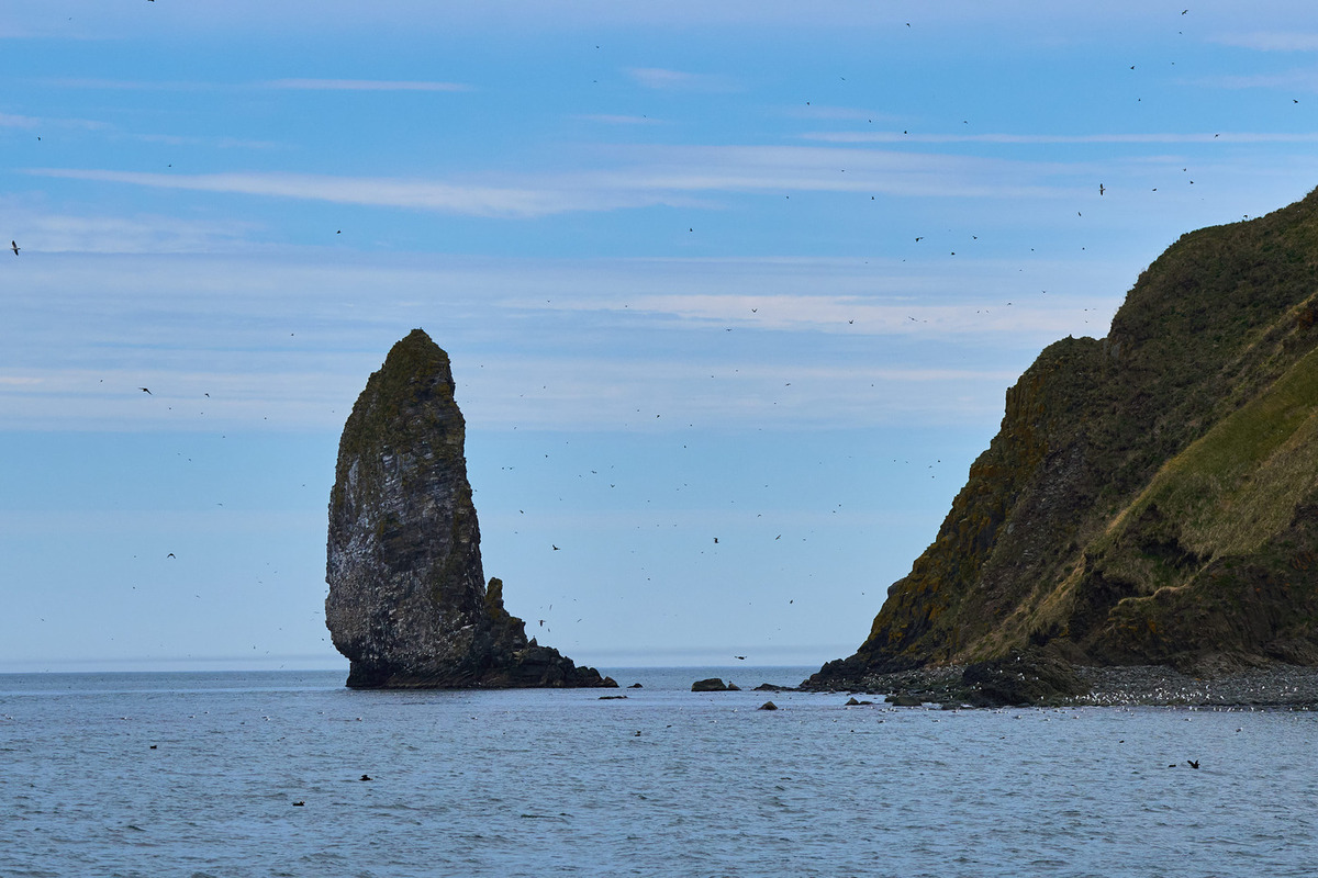 Судебное решение Верховного суда определит судьбу выжившего в Охотском море.