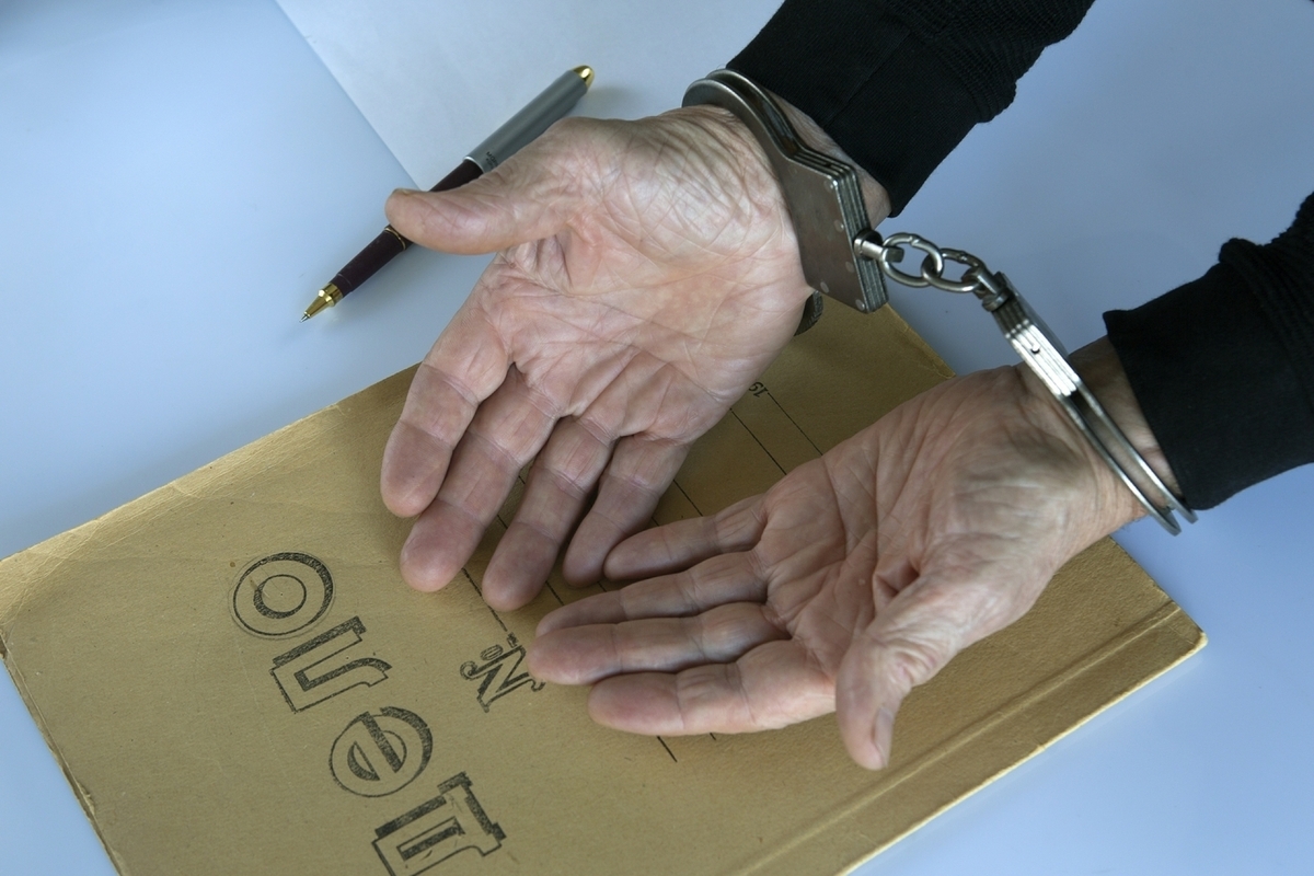 Лица, планировавшие покушение на Соловьева, намеревались скрыться на Украине.