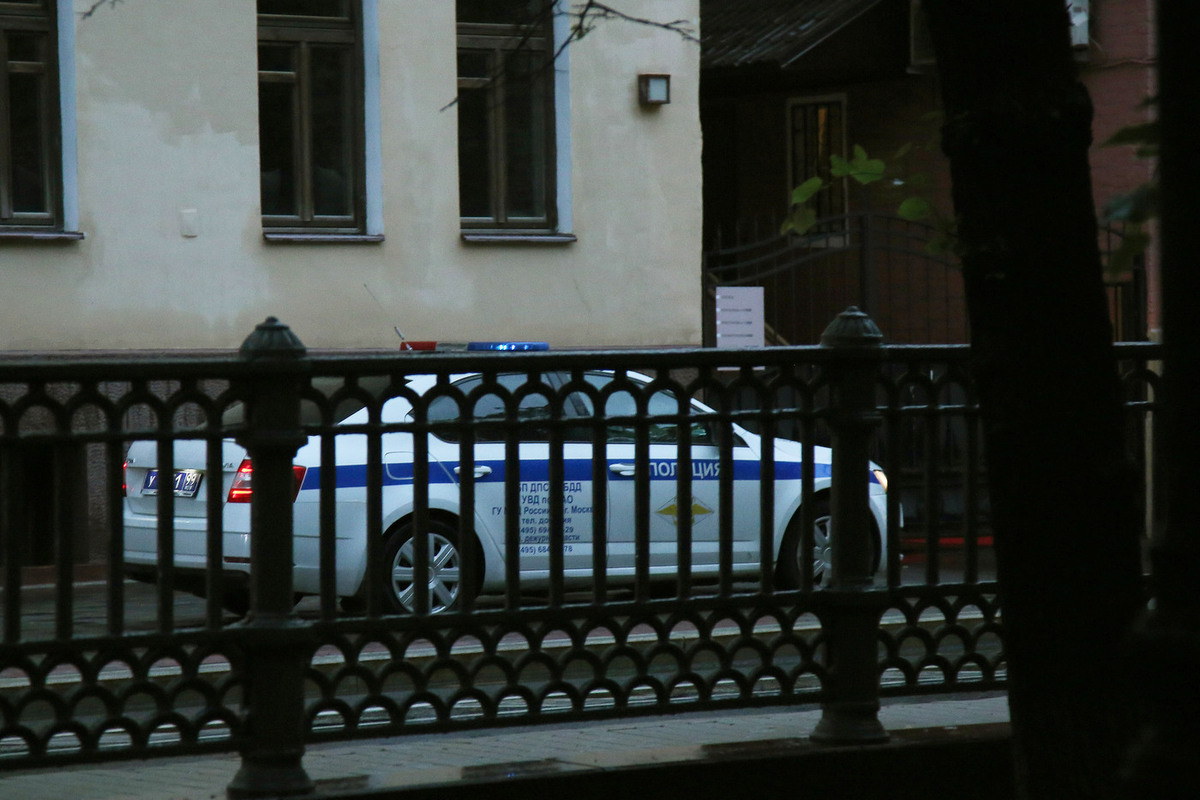 Тысячи хвостов куницы обнаружены у иностранца в аэропорту Домодедово