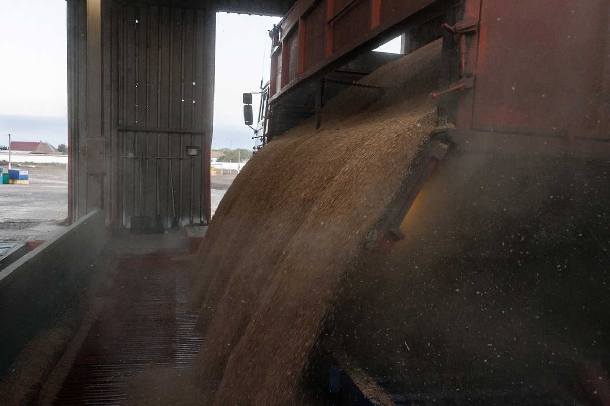 Два работника погибли во время обслуживания зерноочистительной машины в Башкортостане.