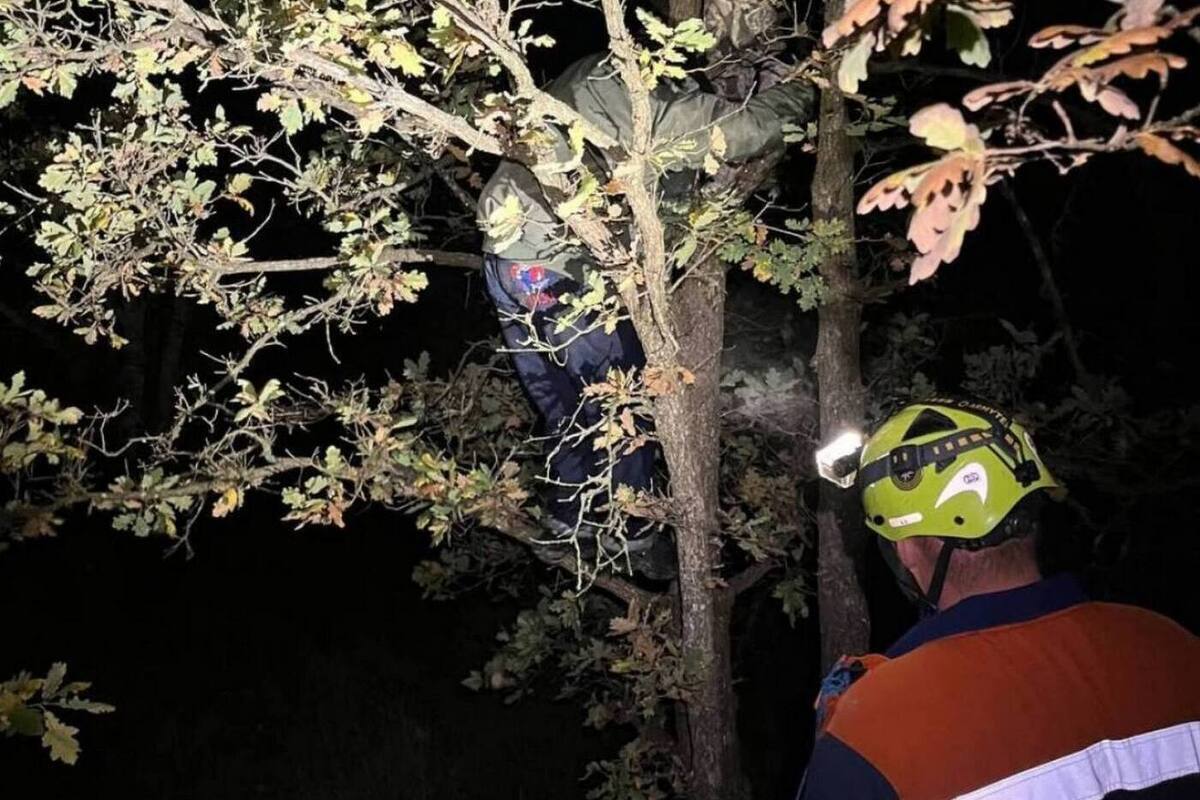 "Кабаны нас окружили!": спасателям пришлось спасать подростков с дерева