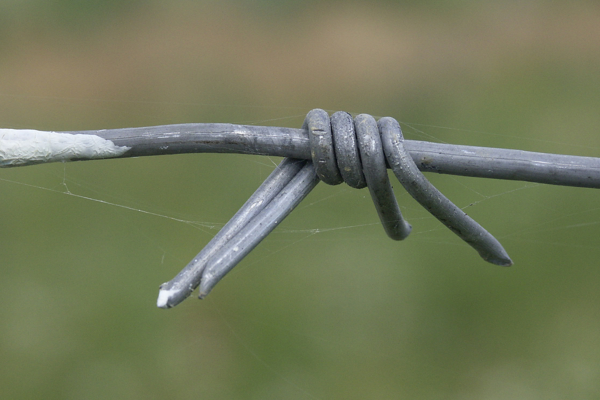 В Колыме мужчина начал борьбу с бульдозерами