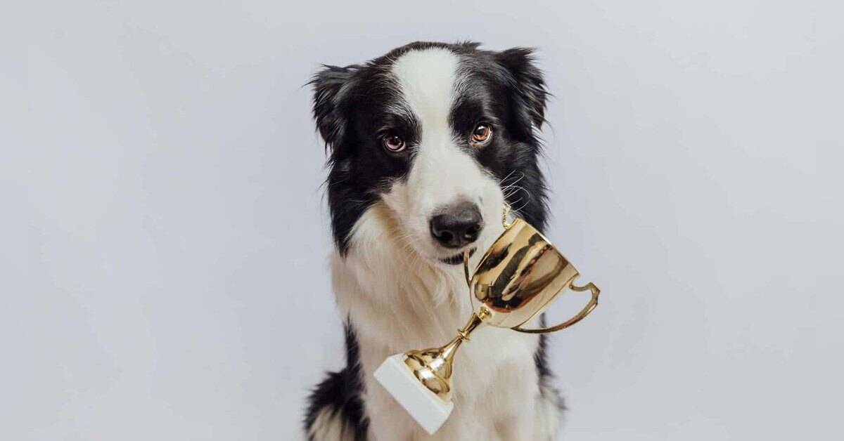 Ожидаете итоги соревнований?