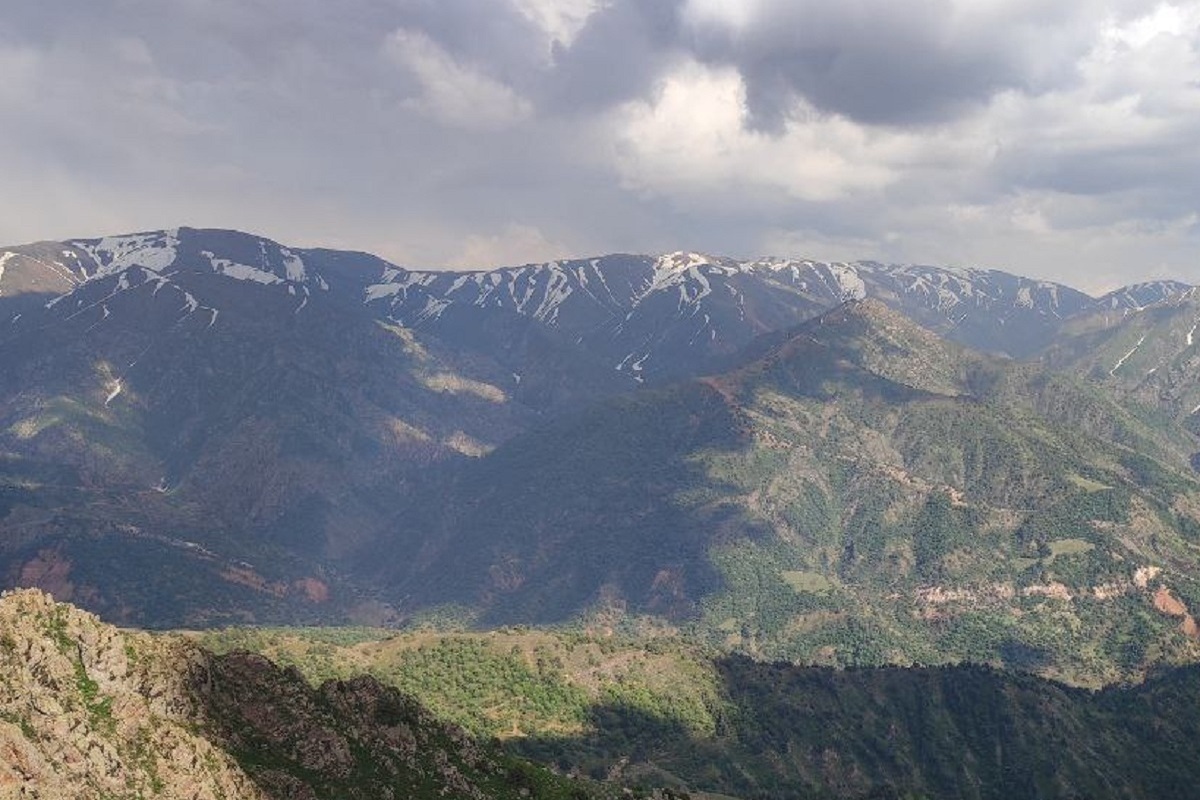 В северной Италии под снежной лавиной погибли пять скалолазов.