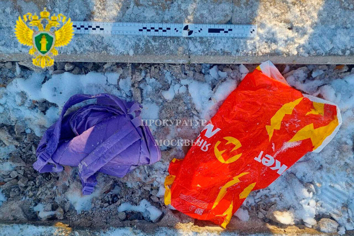 Голова ребенка была обнаружена в пруду во время работ по реконструкции.