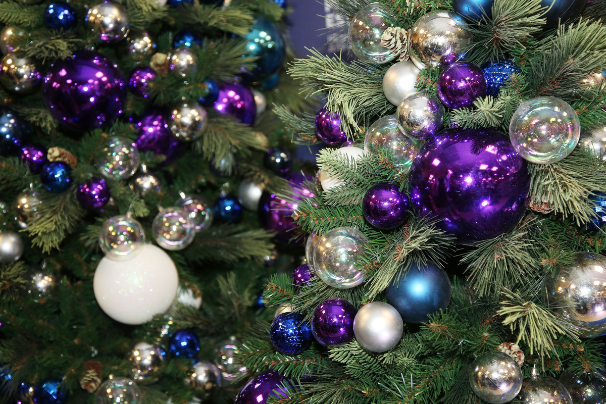 Два подростка поднялись на верхушку новогодней красавицы в Санкт-Петербурге.