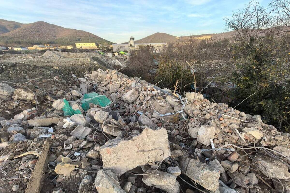 Неизвестные лица на незаконной свалке уничтожили реликтовые растения в российском регионе.