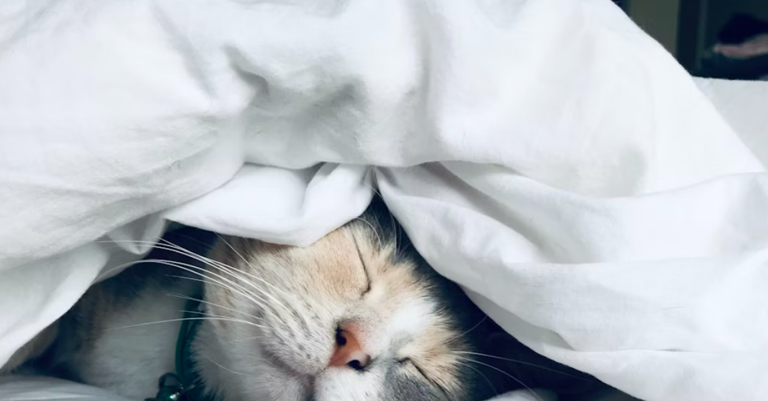 Как добиться качественного сна