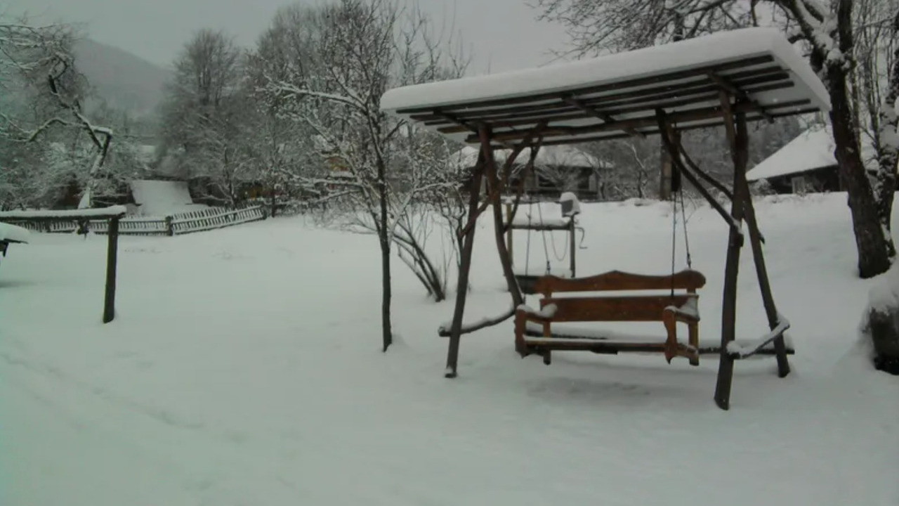 Справляемся со снегом и вредителями: что предпринять на даче до конца февраля