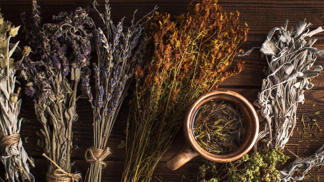 Заклинание растений: как зелёные помощники заполняют "энергетические пробелы" в нашем поле.